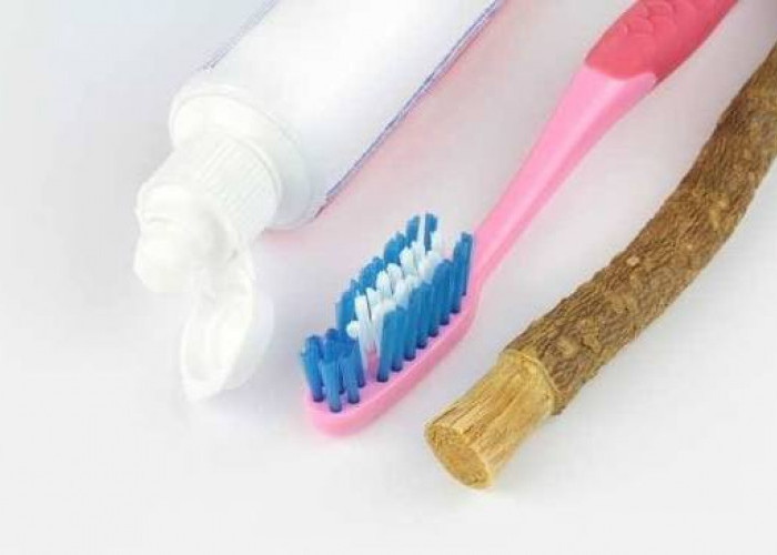 Siwak atau Sikat Gigi, Mana yang Lebih Baik? Ini Penjelasan Ilmiah Menurut WHO dan NCBI