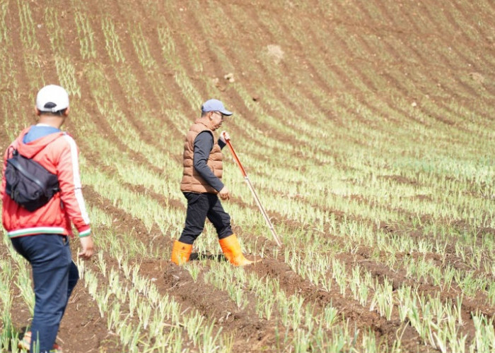 Perkuat Ekologi dan Ekonomi, Pemkot Batu Transformasi Lahan Penyangga Tahura Menjadi Kawasan Agroforestri