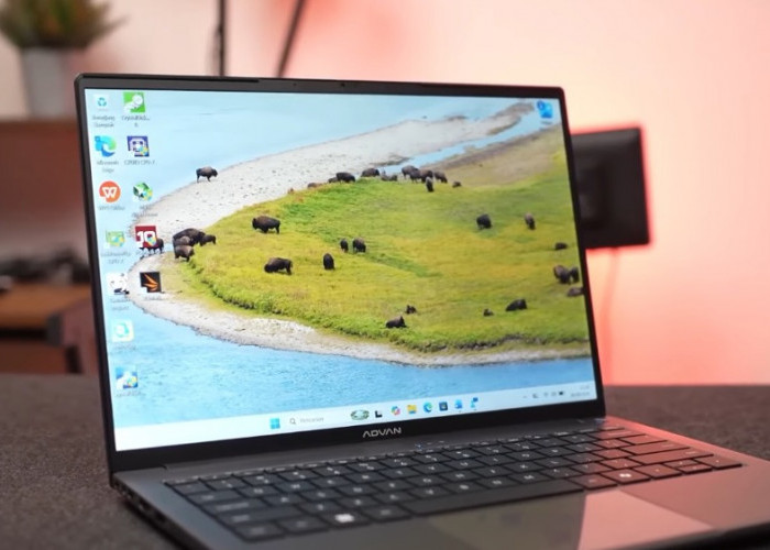 5 Laptop 14 Inch 2026, Ada yang Unggul di Performa hingga Layar Touchscreen