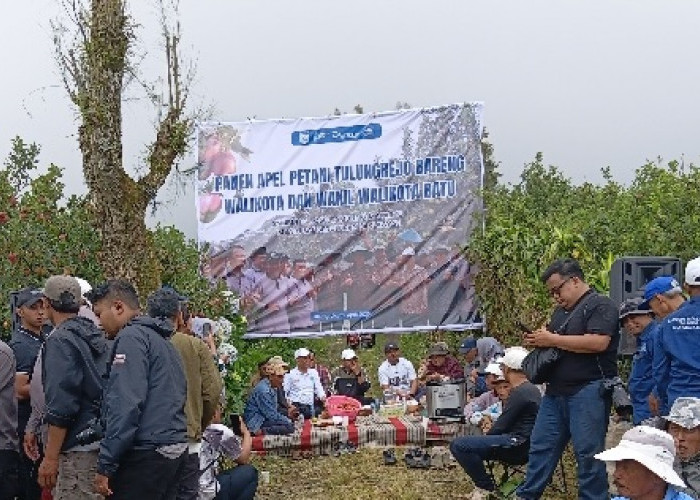 Wali Kota Batu Komitmen Kawal Subsidi Pupuk dan Revitalisasi Lahan Apel