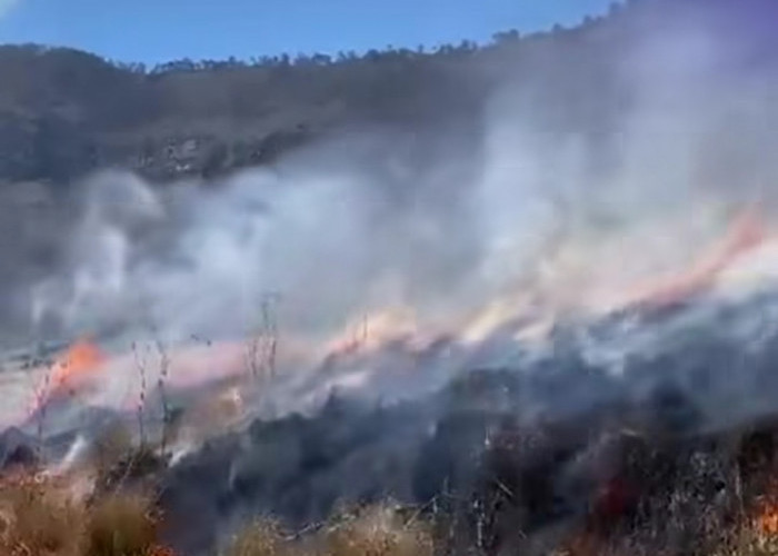 Masuk Hari Kelima Bromo Terbakar 176 Hektare, Api Diduga Berawal dari Perapian di Jalur Tradisional