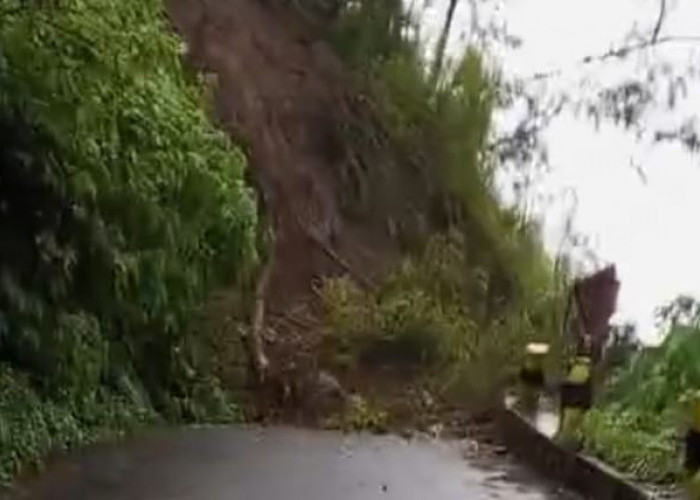 Terjadi 196 Bencana di Kota Batu sampai Akhir Nopember, Paling Banyak Tanah Longsor 