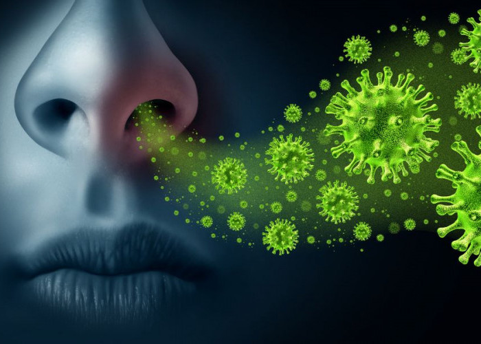 Kemenkes Konfirmasi Peningkatan Influenza A Musiman: Waspada Musim Pancaroba!