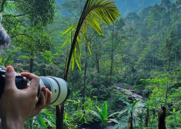 Kenapa Macan Tutul Bisa Bertahan di Hutan Mendolo? Ini Bukti Kekayaan Satwanya