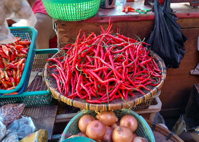 Cabai Masih Mahal, Ibu-ibu Tetap Beli