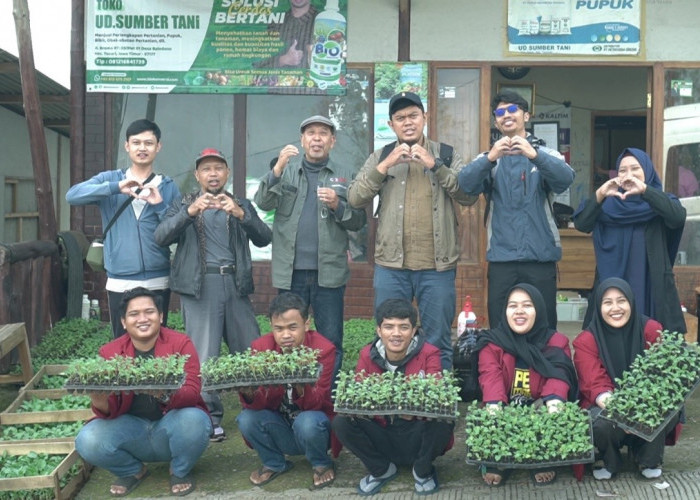 Temukan Benih Unggul, UMM Berharap Dongkrak Pendapatan Petani Kentang di Malang 