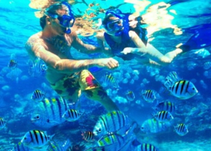 Pesona Pantai Tiga Warna Malang Berupa Gradasi Air Laut Eksotis hingga Surga Bawah Laut yang Terjaga