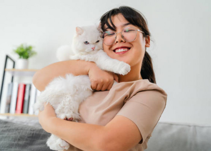 8 Agustus Juga Hari Kucing,  Mau Merayakan dengan Ajak si Anabul Ngafe? Ini Rekom Kafe Pet Friendly