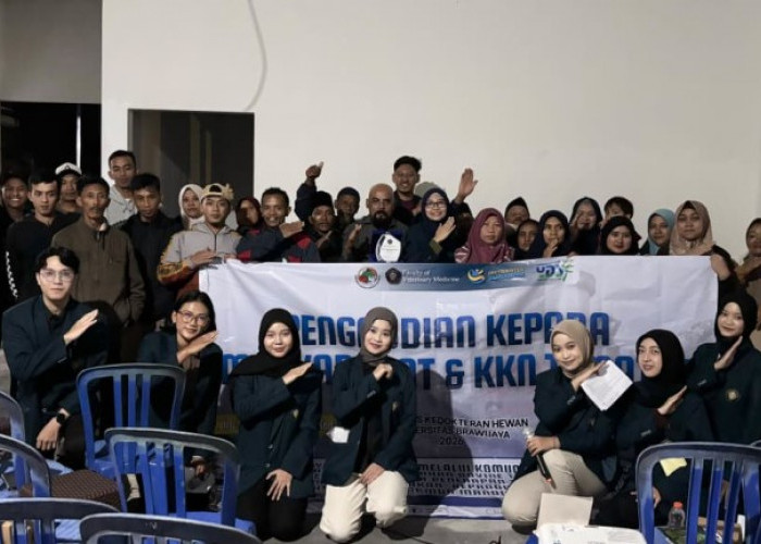 Mahasiswa FKH UB Tingkatkan Produktivitas Peternak Sapi Perah Brau lewat Teknologi Tepat Guna