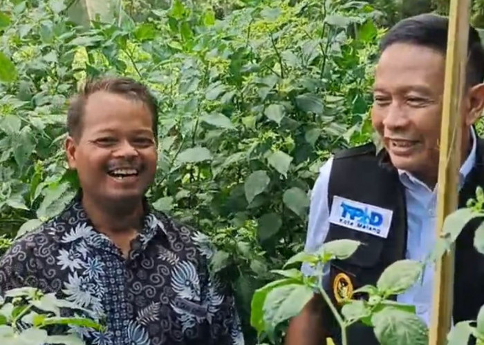 Jelang Idulfitri, Harga Cabai Tembus Rp100 Ribu per Kg, TPID Kota Malang Siapkan Langkah Intervensi