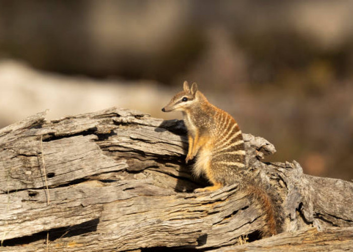 4 November Diperingati Hari Apa Saja? Berikut Daftar Lengkapnya