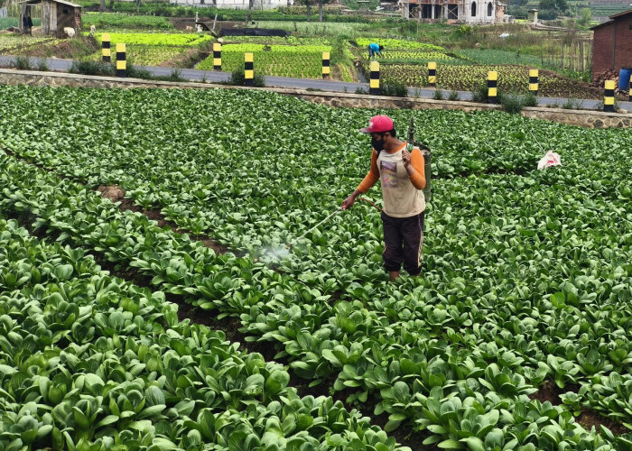 Smart Integrated Farming Kota Batu Disiapkan, Lahan 2,7 Hektare di Sidomulyo