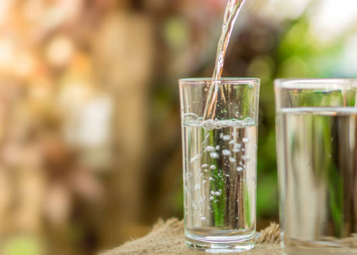 Air Mineral vs Air Demineral: Mengenal Perbedaan dan Pilihan Terbaik untuk Tubuh