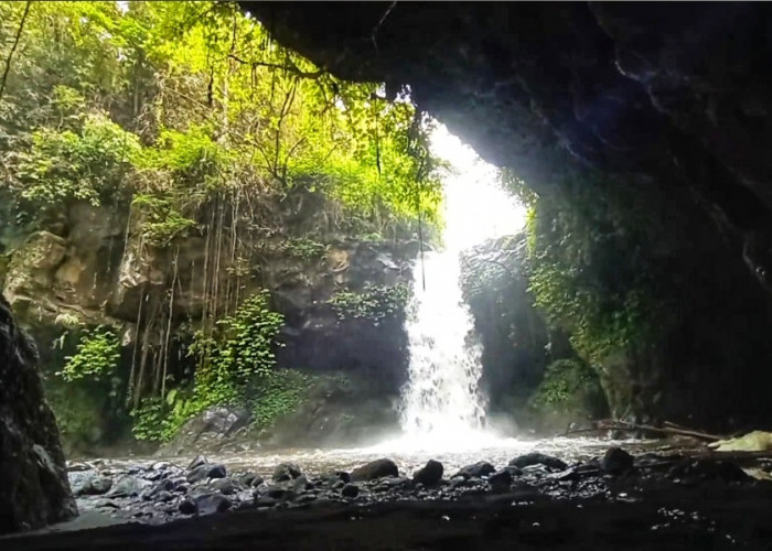 Coban Jidor Malang, Air Terjun Tersembunyi dengan Gua Alami dan Gemuruh bak Suara Bedug