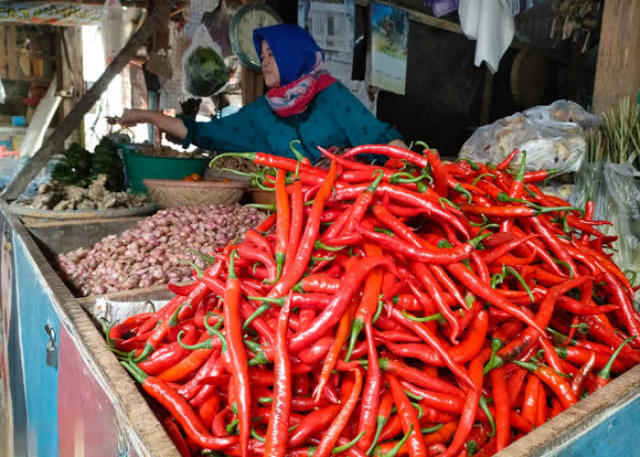 Harga Cabai Rawit di Pasar Klojen Malang Tembus Rp80 Ribu, Naik Rp20 Ribu dalam 3 Hari
