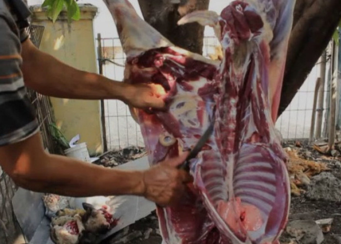 Tips Memisahkan Daging Kambing dari Tulang