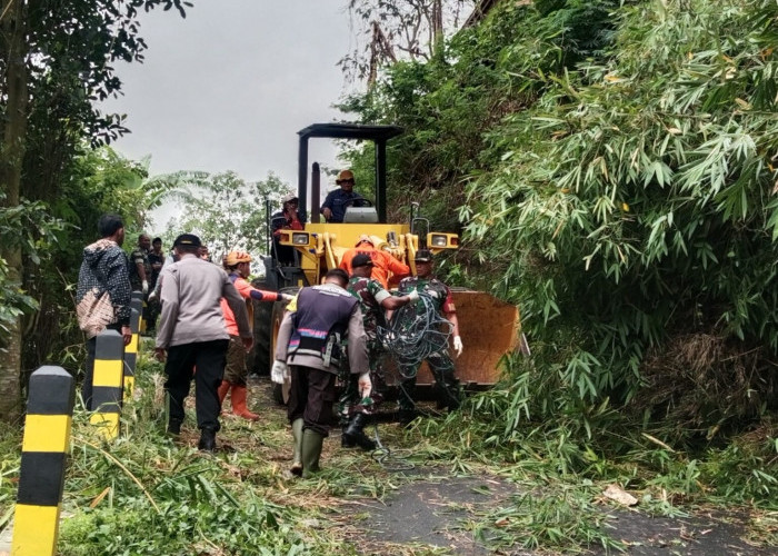 Rumpun Bambu Roboh di Dusun Kekep, Koramil Bumiaji Tanggap dan Sigap Atasi Bencana