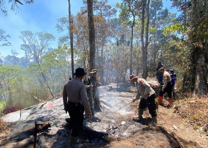 Kebakaran Gunung Buthak Batu Dievaluasi, Polres Ungkap Kendala Pemadaman di Medan Terjal