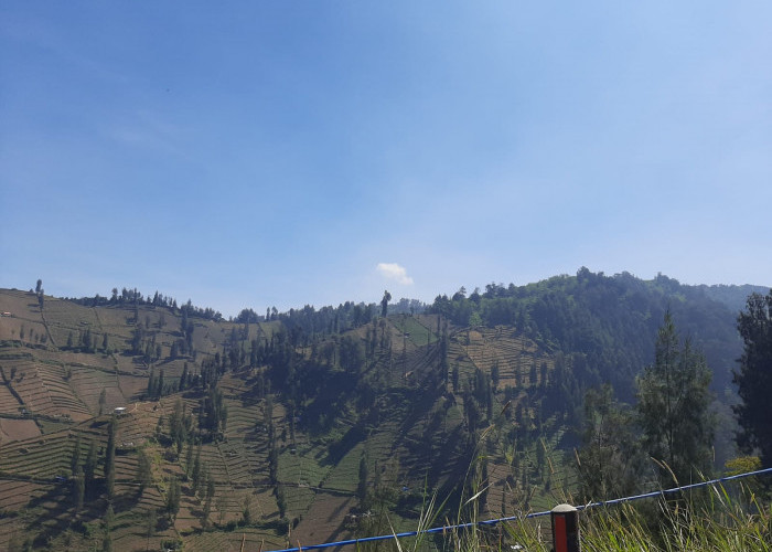 Bromo Berawan dengan Suhu 8°C, Ombak Laut Selatan  3,1 Meter, Jatim Waspada Angin Kencang