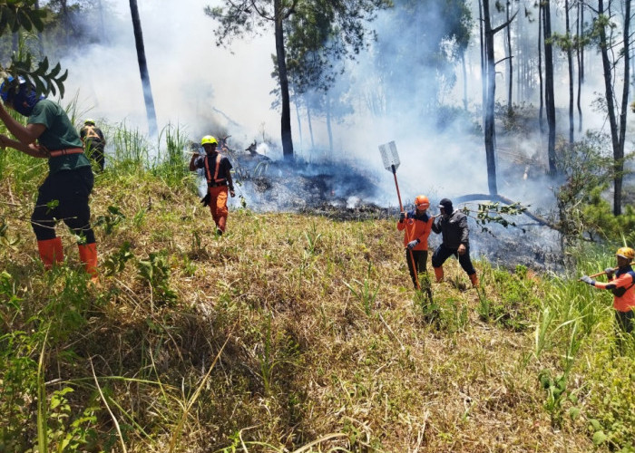 Kobaran Api Panderman Batu Padam, Sekat Bakar dan Pemadaman Manual Jadi Andalan