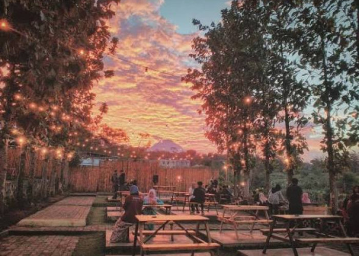 5 Cafe Bernuansa Alam di Malang, Ada Gartenhaus hingga Bukit Delight