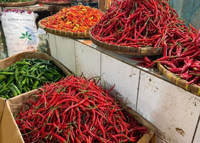 Harga Cabai Tak Terkendali, Pemkot Malang Buka Warung Tekan Inflasi Rp40 Ribu/Kg