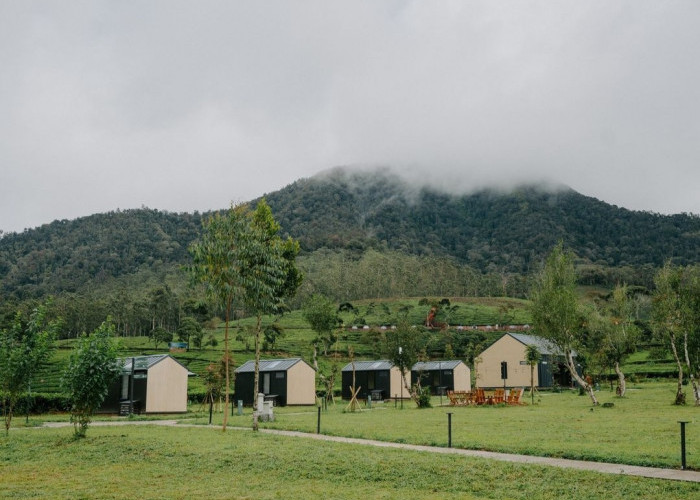 Bobocabin Coban Rondo, Pilihan untuk Liburan Akhir Pekan yang Menyegarkan