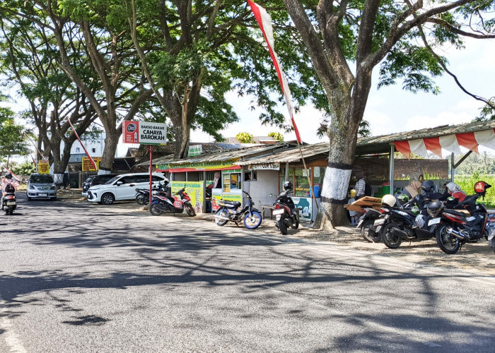 Kuliner Kedungrejo Pakis Malang: Jajan Rp7 Ribuan Sambil Menikmati Hamparan Sawah