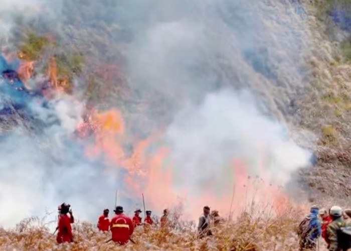Kebakaran Bromo Meluas, 921 Hektare Lahan Terdampak dan 540 Personel Dikerahkan