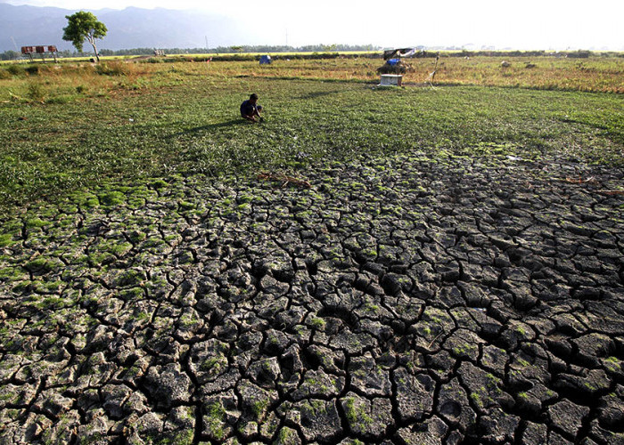 Waspada El Nino, BPBD Petakan 13 Desa Rawan Kekeringan di Kabupaten Malang