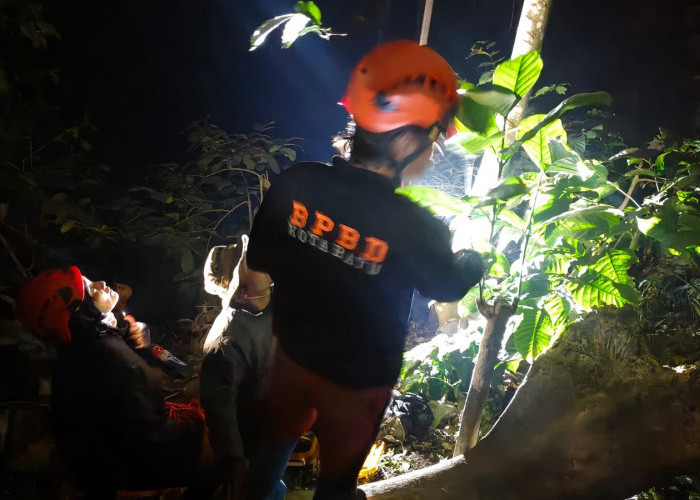 Drama 2 Jam di Atas Pohon Pinus, Wisatawan Rusia Akhirnya Selamat Dievakuasi Tim SAR di Paralayang Batu