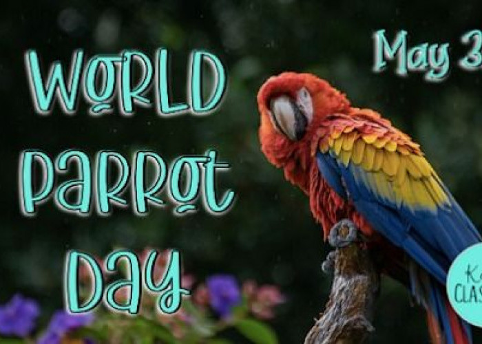 31 Mei Juga Hari Burung Kakaktua Sedunia: Sudah Tahu Fakta Menarik Mengenai Mereka?