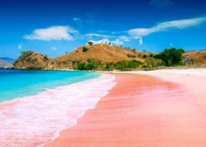 Panduan Lengkap Berlibur ke Pantai Tiga Warna Malang: Alur Reservasi, Aturan Ketat, hingga Tips Kunjungan