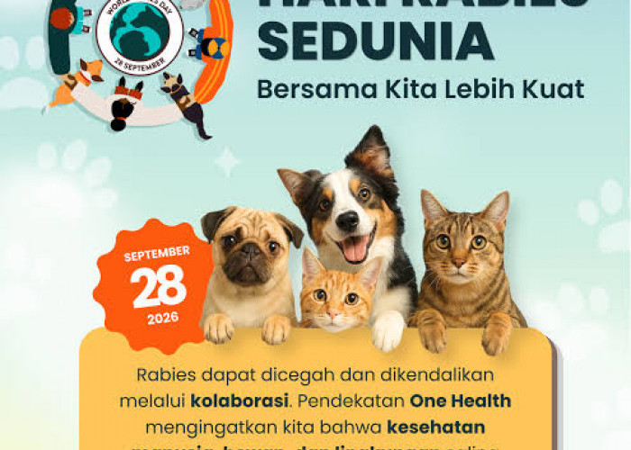 Hari Rabies Sedunia 28 September 2026: 127 Gigitan 'Mematikan' di Kabupaten Malang, Kucing Terbanyak