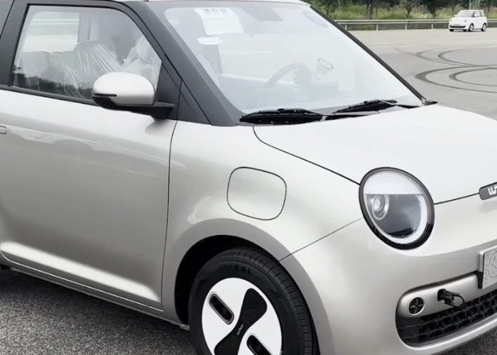 5 Mobil Listrik Murah 2026 yang Layak Dibeli Sebelum Subsidi EV Dicabut, Harga Mulai Rp189 Jutaan