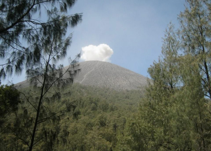 Gunung Semeru Alami 23 Kali Gempa Letusan dalam Enam Jam
