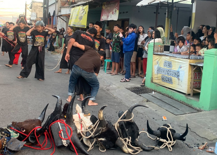 Mengenal Bantengan, Seni Tradisi yang Tak Pernah Sepi Penonton
