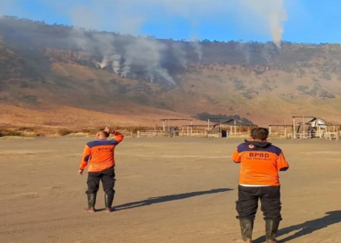 Kebakaran Hutan di Bromo, BB TNBTS Tutup Tiga Jalur Wisata dan Batasi Akses Pengunjung