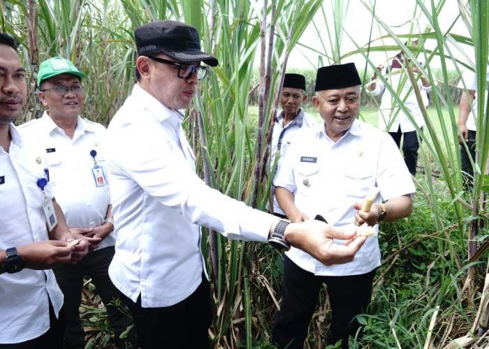 Wamendagri Kunjungi Tajinan, Kabupaten Makang, Pantau Langsung Pembentukan Koperasi Desa di Sana