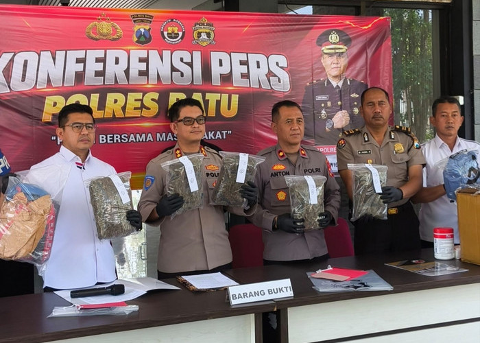 Polres Batu Gagalkan Peredaran 5 Kg Ganja, Petani Pujon Ditangkap