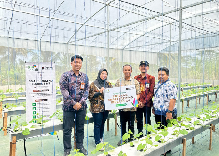 PLN Hadirkan Smart Farming IoT di Wonosari-Malang, Budidaya Melon Kini Serba Otomatis