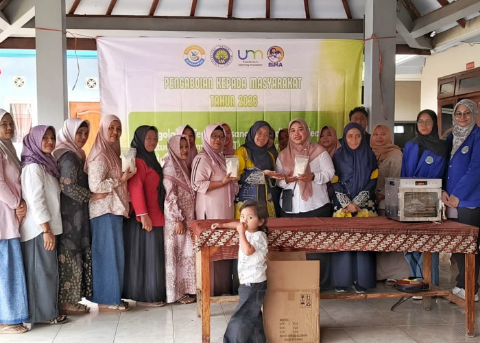 UM Kenalkan Teknologi Tepung Pisang HMT di Tumpang, Pisang Rojo Molo Didorong Jadi Produk Unggulan Desa