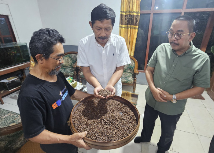 Kemenkum Jatim Dampingi Penyusunan Indikasi Geografis Kopi Robusta Kare Wilis Madiun