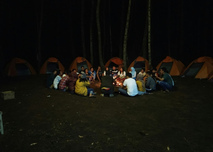 Sensasi Glamping Sejuk di Pujon, Tidur Beratap Pinus Berteman Gemericik Sungai