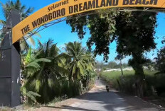 Hidden Gem Malang Selatan! Pantai Wonogoro Punya Muara Sungai Aman untuk Liburan Keluarga