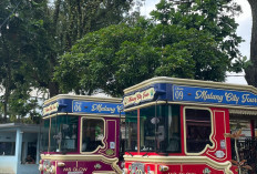 Dari Transportasi Wisata hingga Ikon Kota, Begini Perjalanan Macito