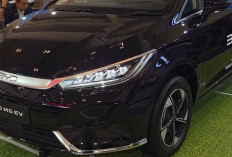 BYD M6 EV CKD vs M6 DM, Ini Perbedaan yang Paling Terlihat