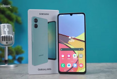 HP Samsung Rp2 Jutaan Makin Canggih, Ini 7 Pilihan dengan Layar AMOLED hingga Fitur AI
