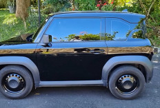 VinFast VF3 Jadi Sorotan, City Car Listrik Rp190 Jutaan dengan Fast Charging dan Ground Clearance SUV
