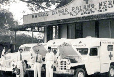 Hari PMI 17 September 2026: Sejarah, Relawan, Pendanaan, dan Seputar PMI Malang Raya
